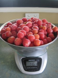 Frozen tomatoes on scales