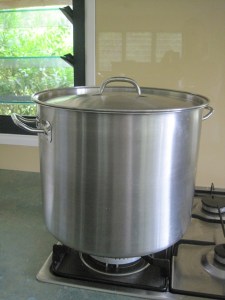Stainless steel stockpot