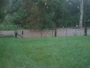 Flooding in the backyard