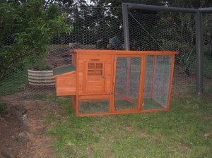 New coop