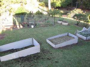 New garden beds