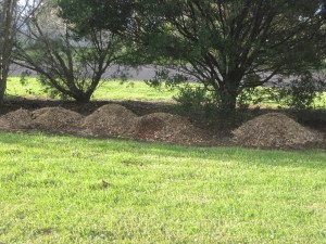 Piles of mulch