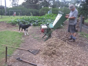 More mulching