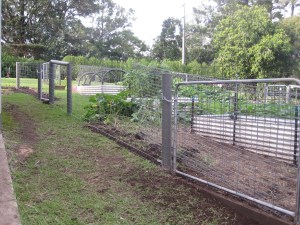 Vegie garden and fencing